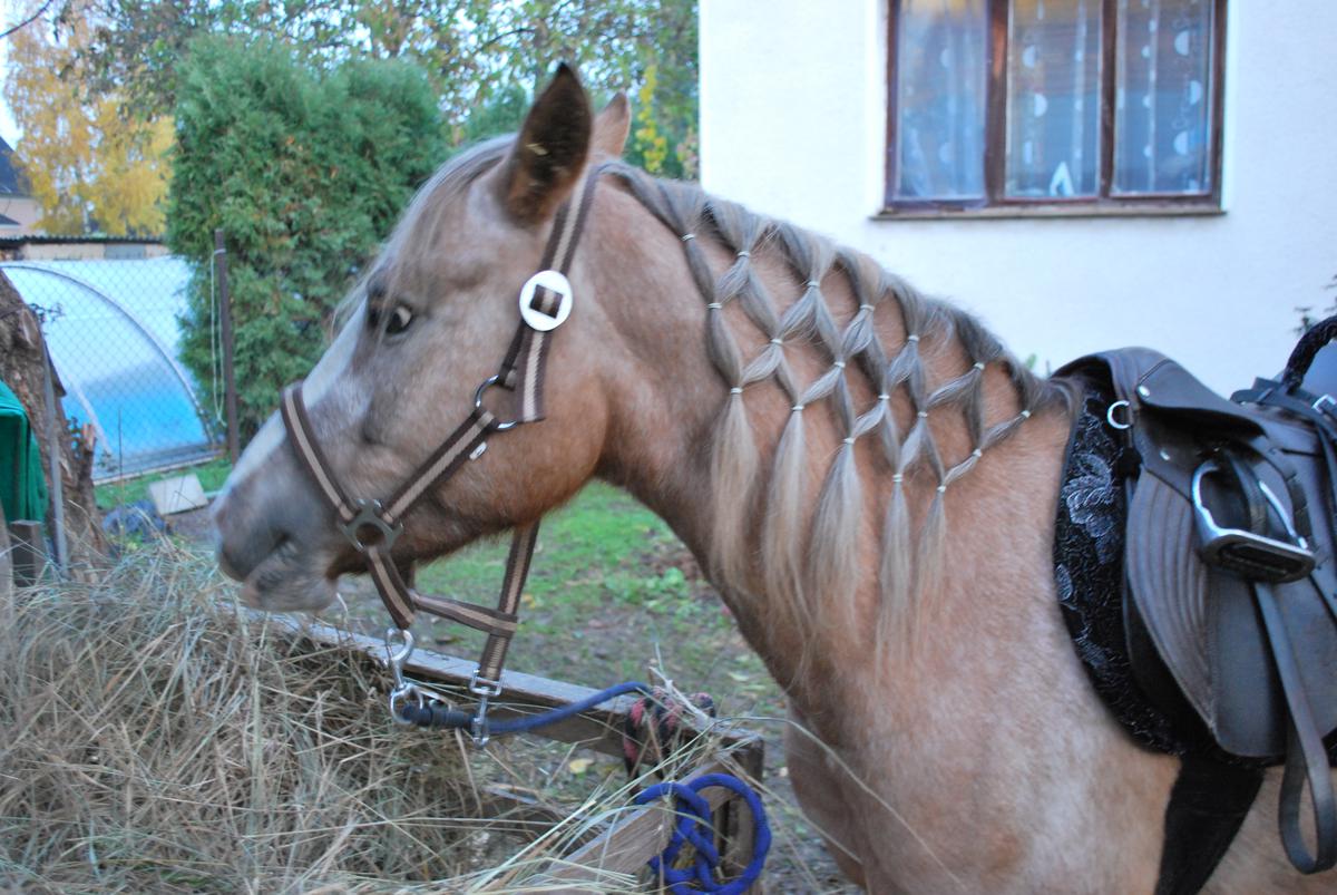 amy jůů