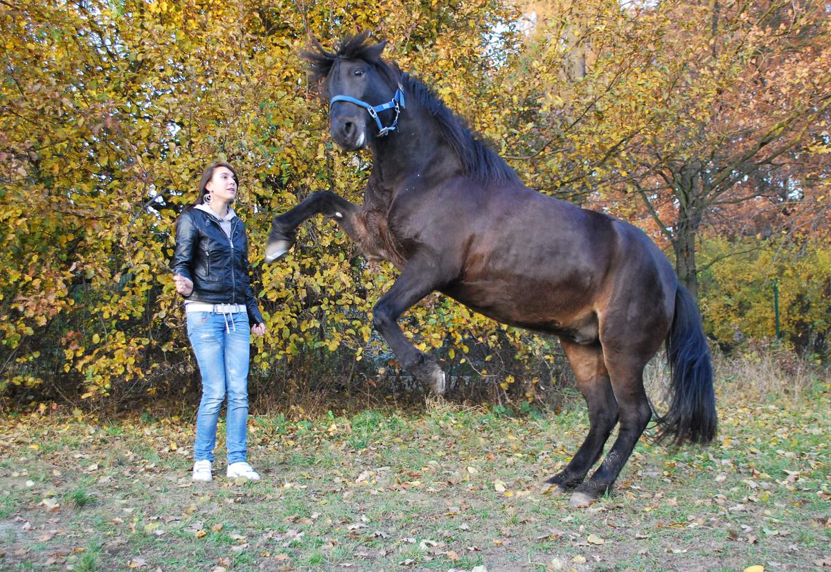 magda a rock na zuadní