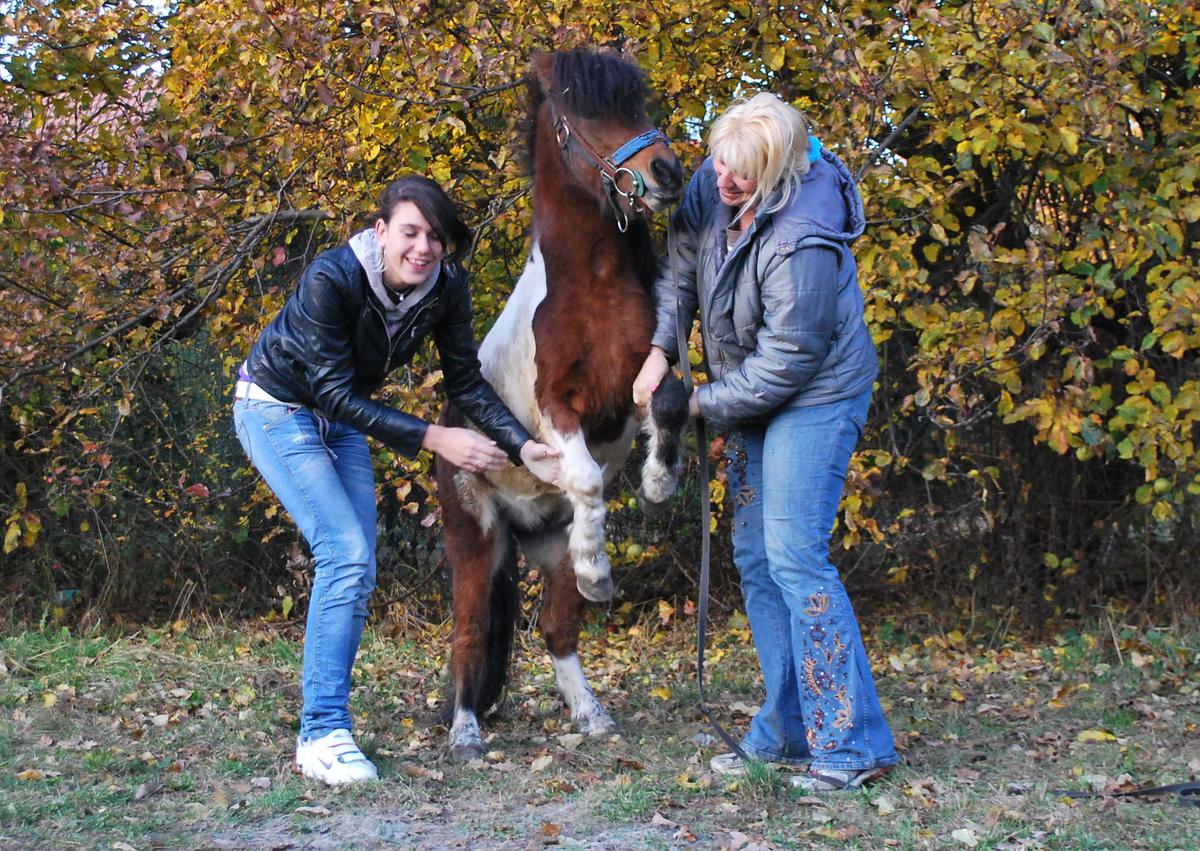 magda,soni a remy